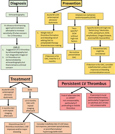 left ventricular thrombus anticoagulation